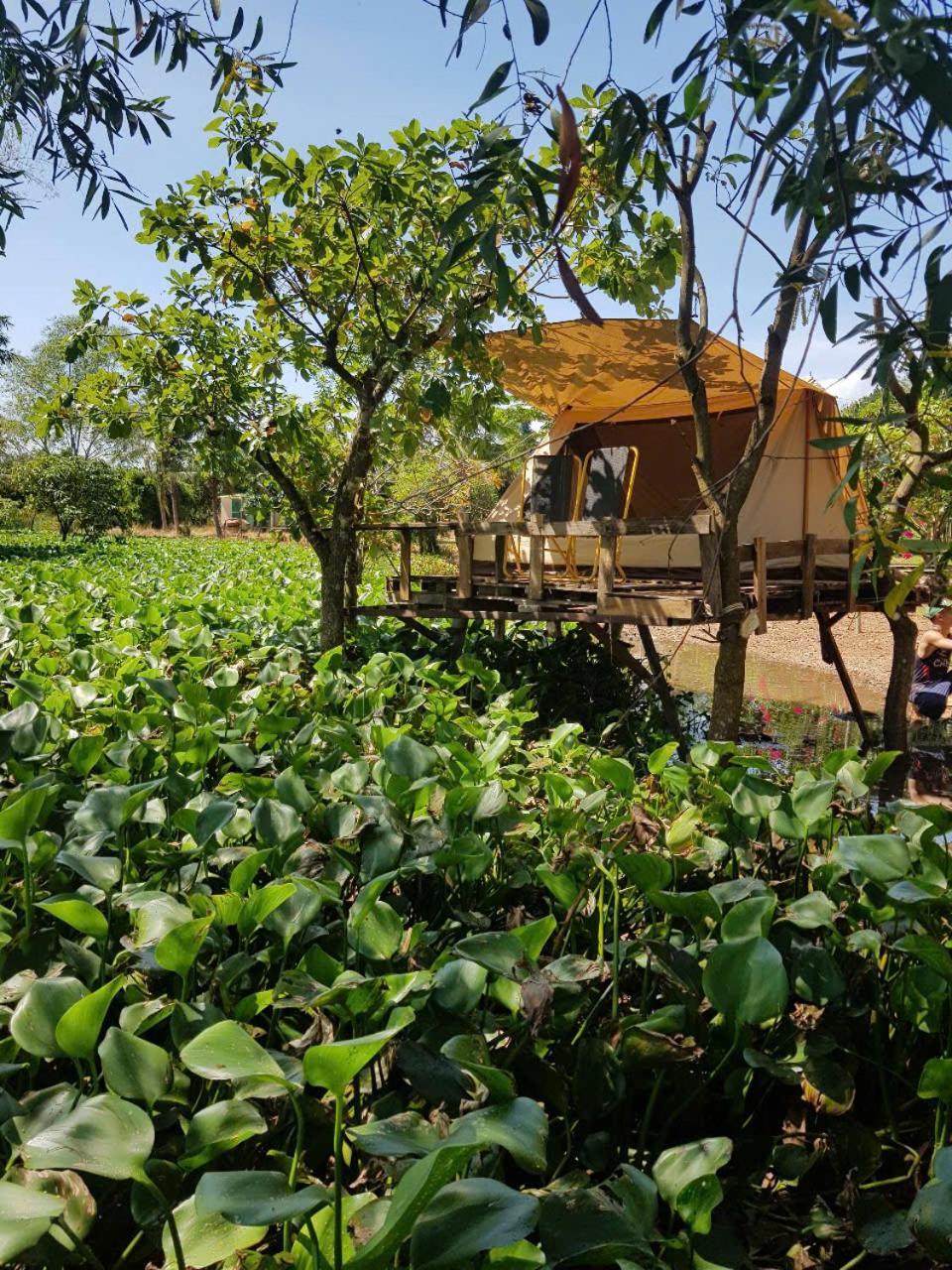 Single Room Garden View