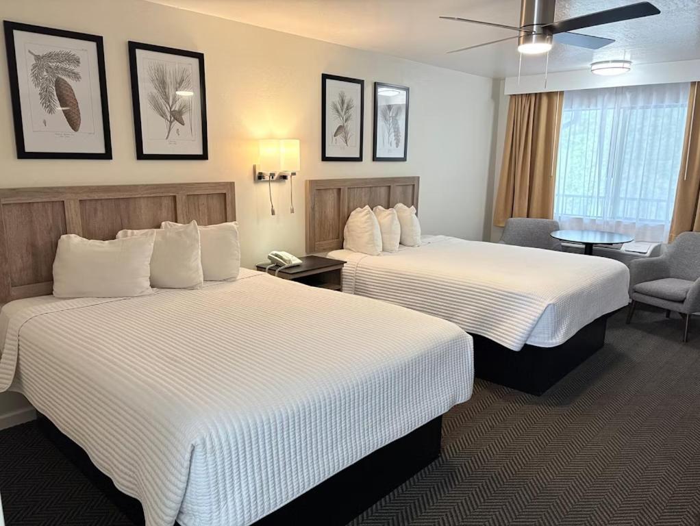 Chambre Quadruple avec Balcon