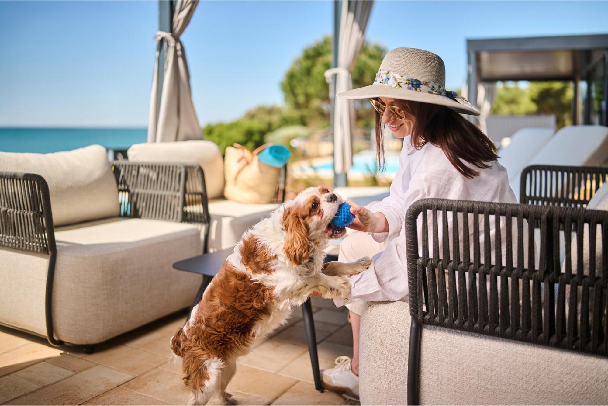 Luxury Sea View Holiday Home private pool