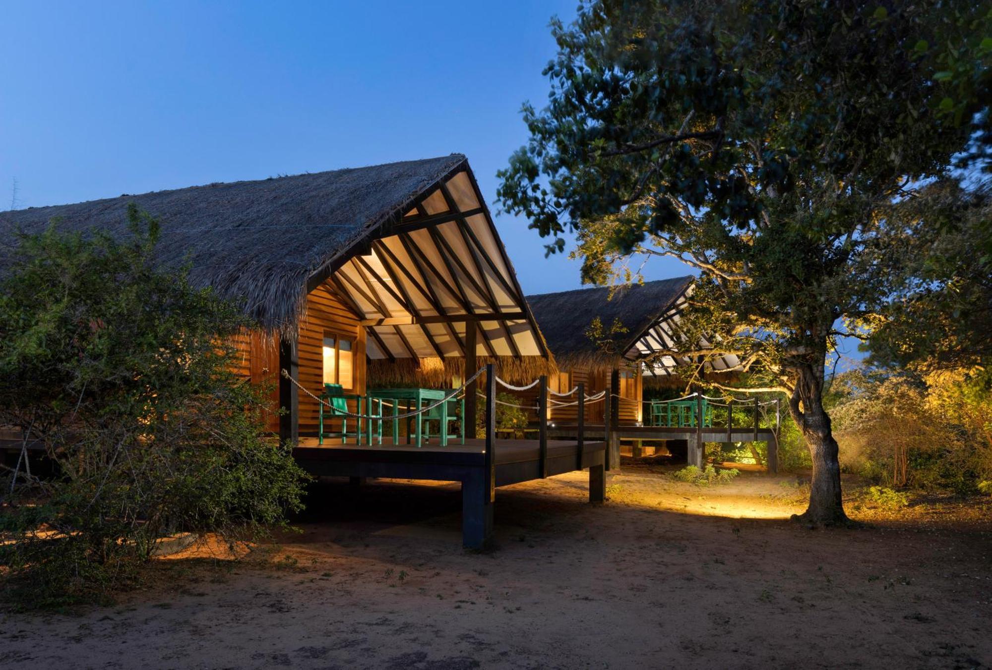Jungle Dwelling