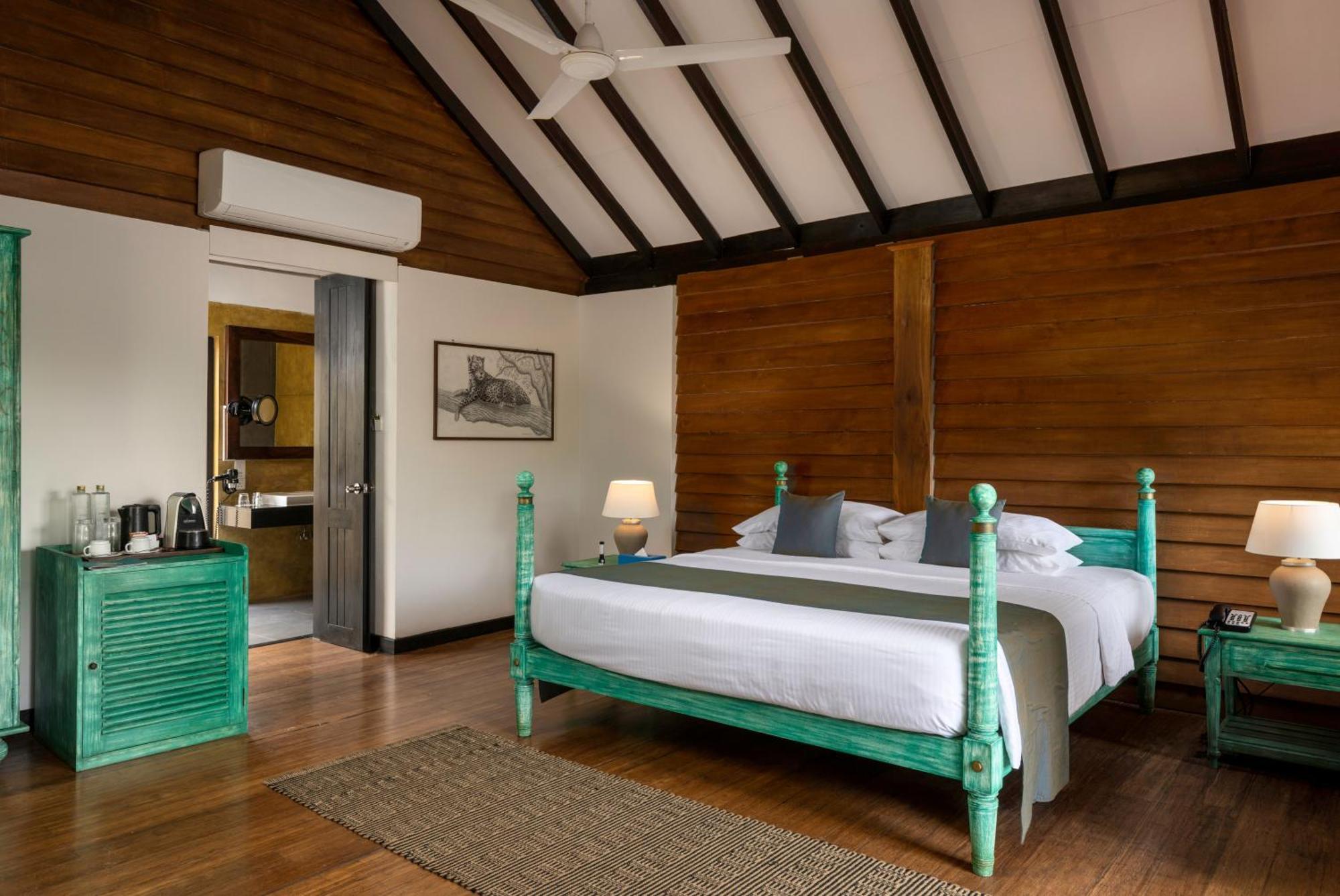 Jungle Dwelling