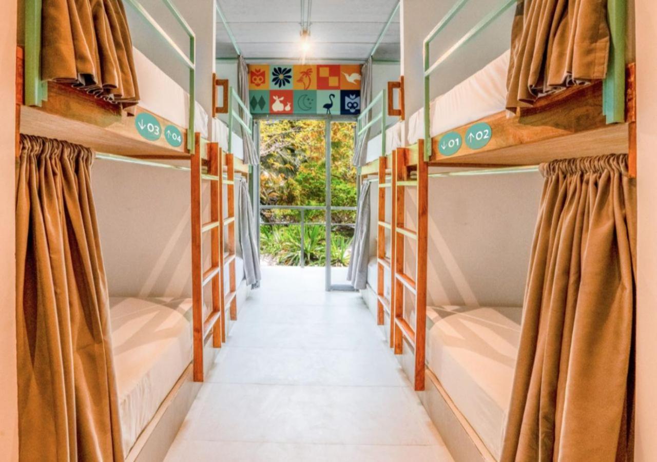 Bed in 8-Bed Mixed Dormitory Room