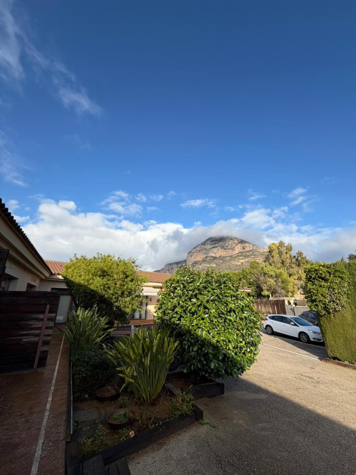Double or Twin Room Garden View