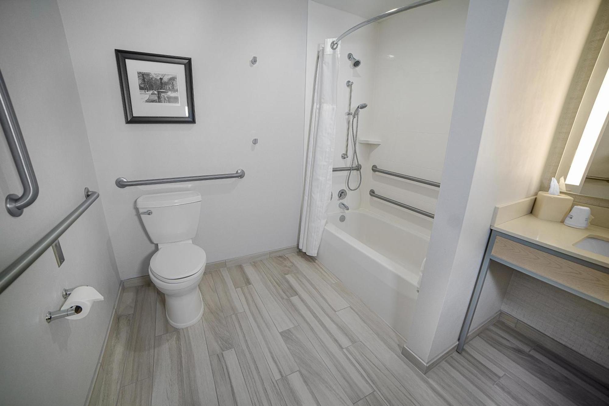 One-Bedroom with King Bed/Accessible Bathtub