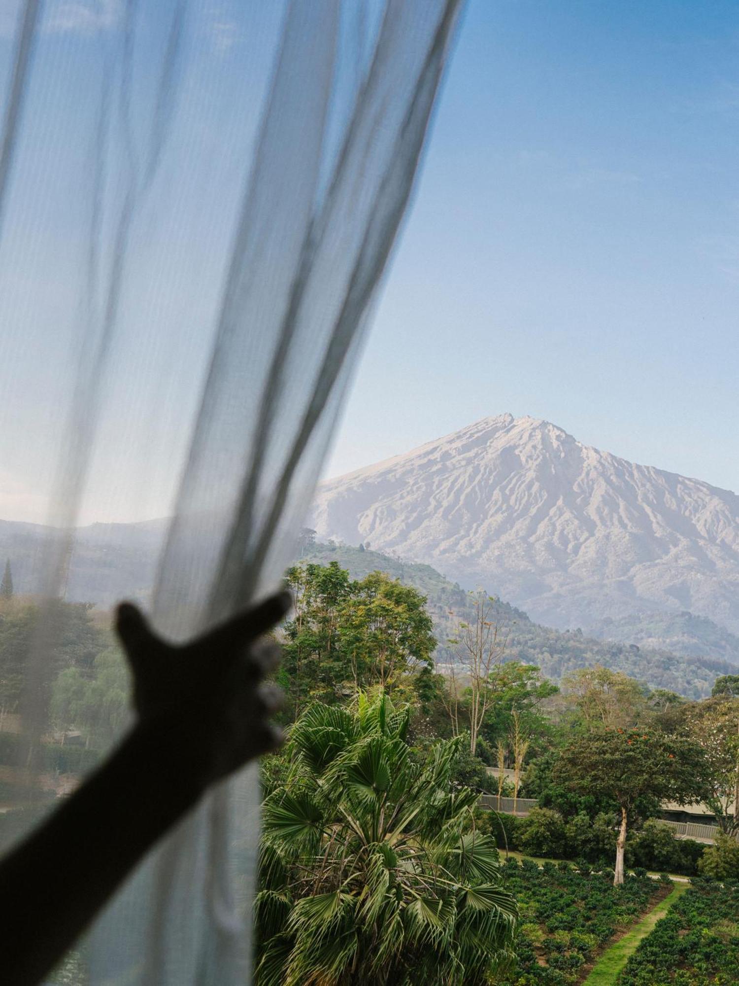 Chambre Deluxe - Vue sur Mont Meru