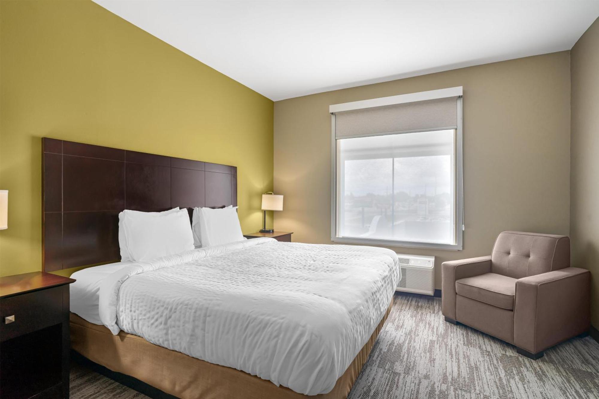 King Suite with Sofa Bed - Non-Smoking