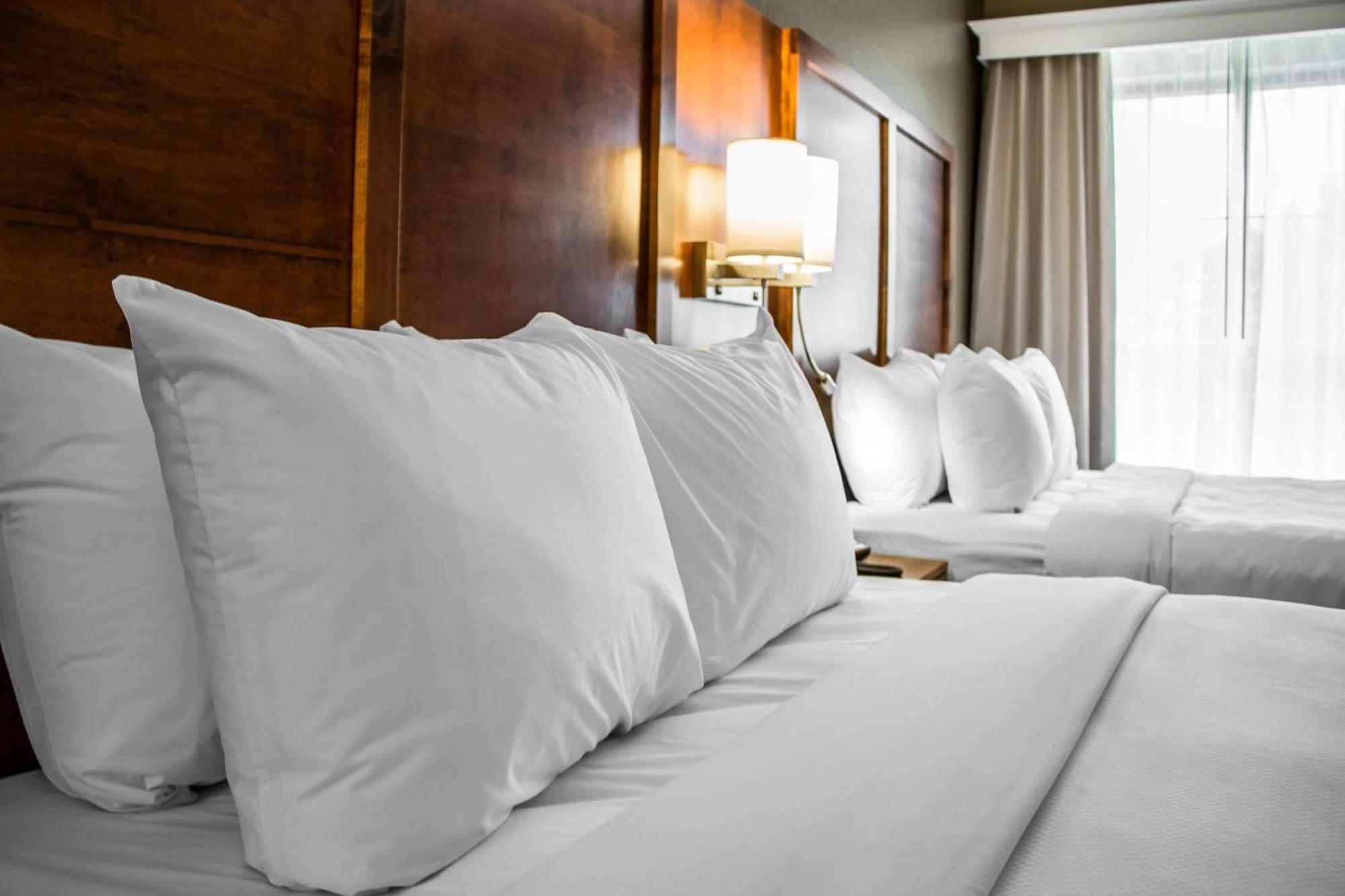 Queen Room Two Queen Beds Suite or Sofa Bed Non-Smoking