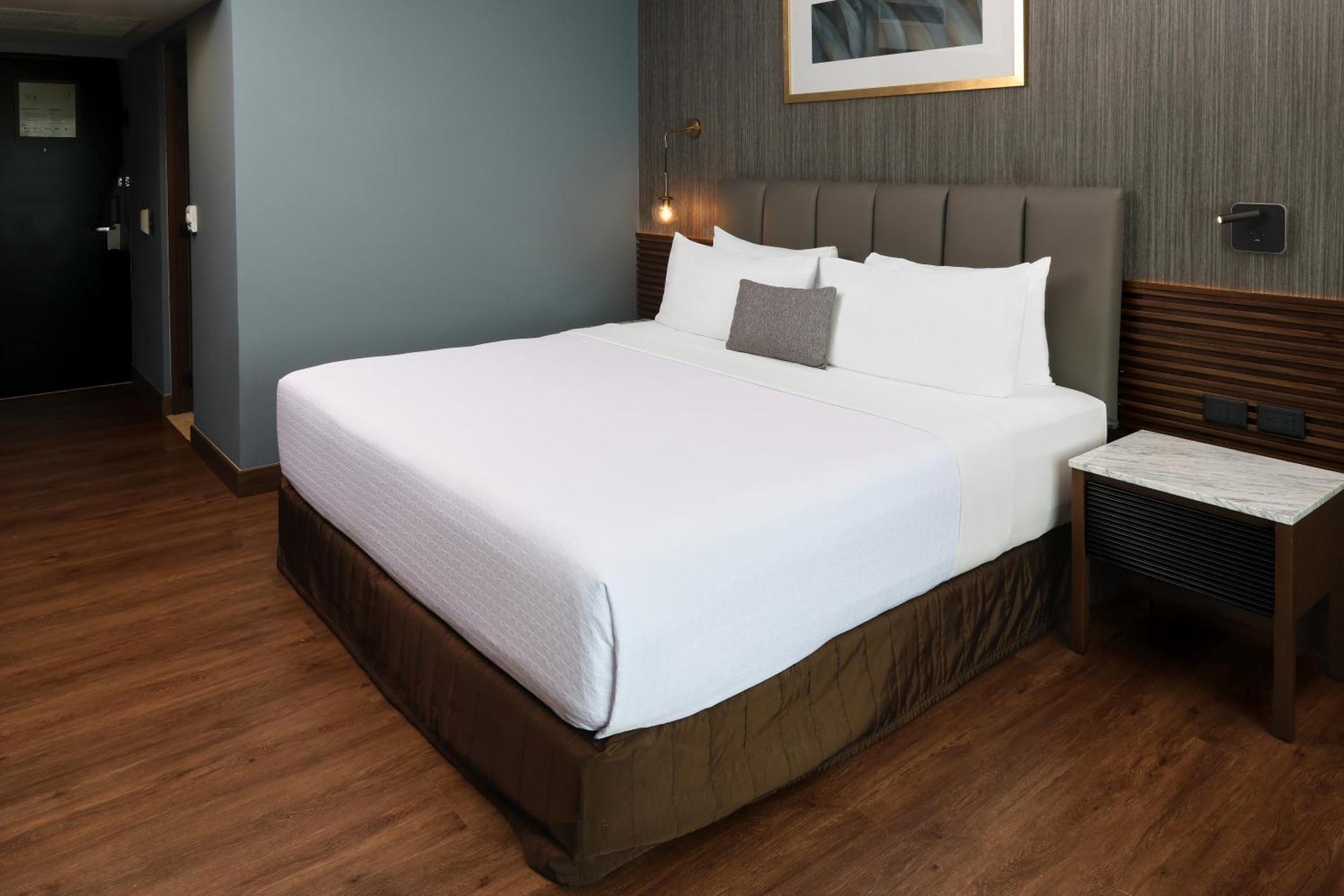 Standard King Room Accessible