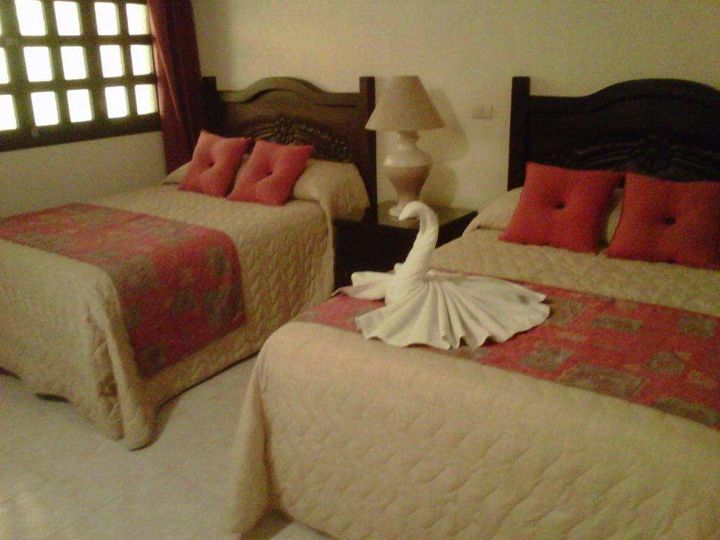 Habitación Doble Premier