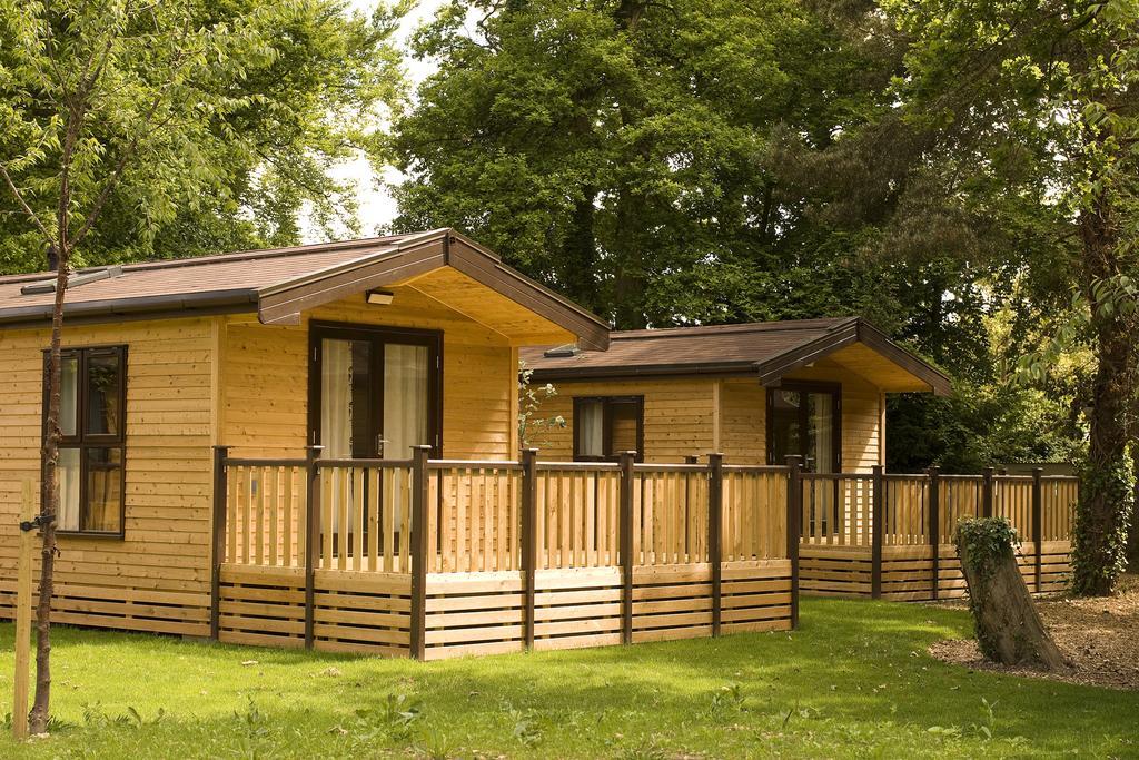 Comfort Lodge,437037849:JPEG