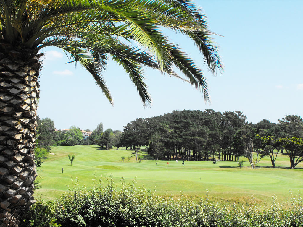 Studio Golf View,1371770594:JPEG