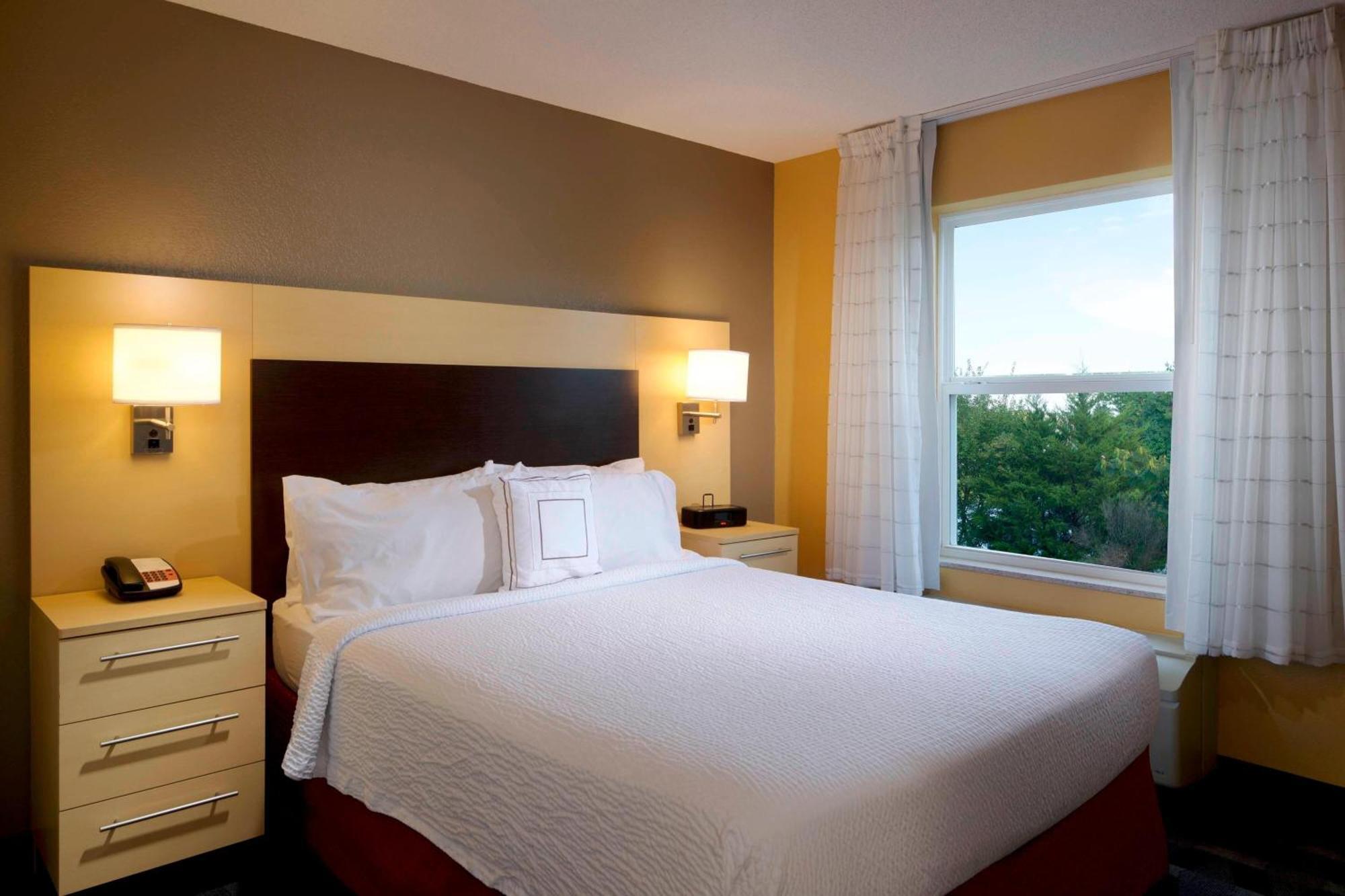 One Bedroom Suite with One Queen Bed and Sofa bed