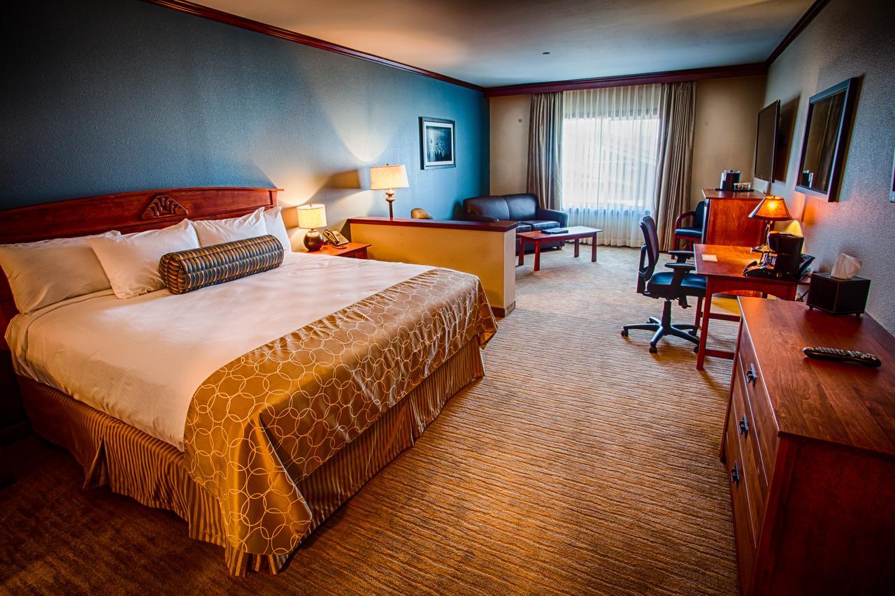 Junior Suite met Kingsize Bed en Uitzicht op de Heuvel