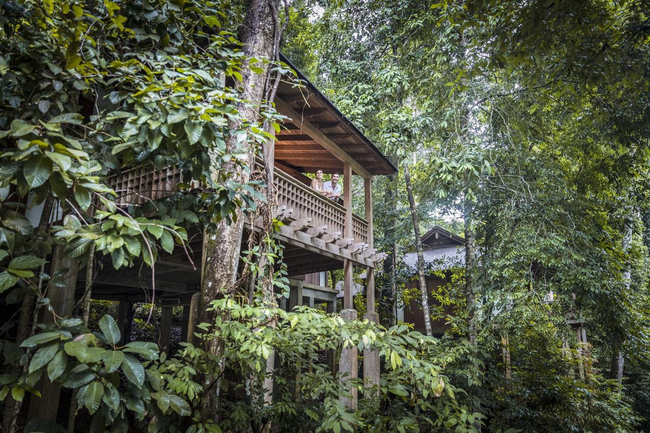Villa Rainforest King/Doppia con Letti Singoli