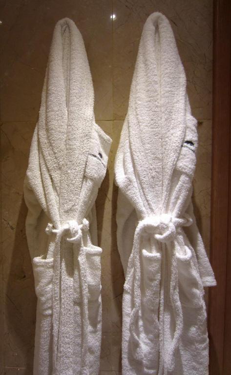 Deluxe Double or Twin Room,65493790:JPEG