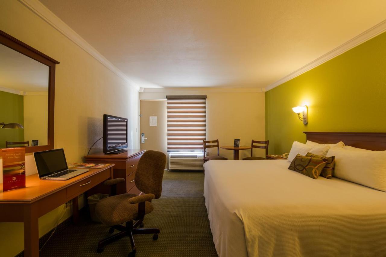 Habitación Estándar - Cama extragrande