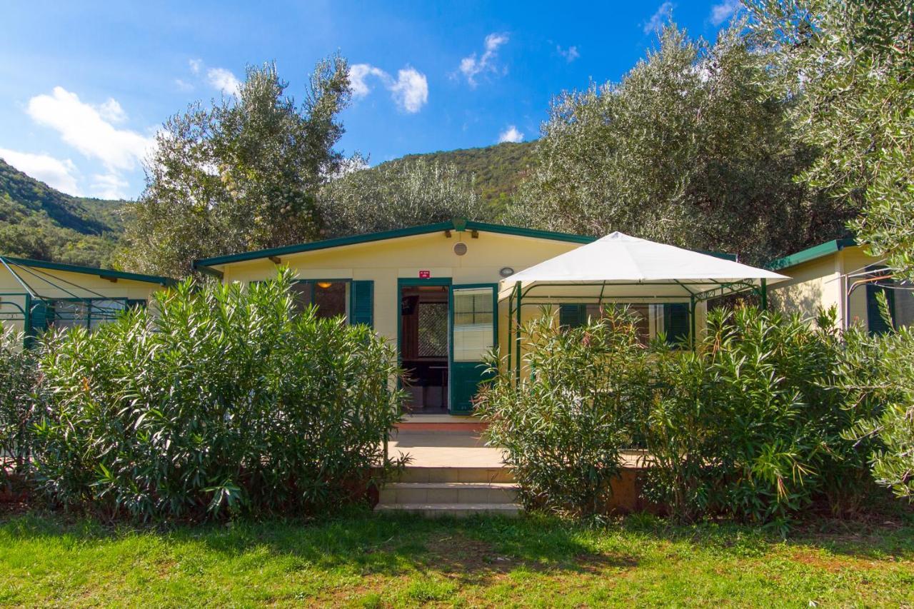 Mobile Home Standard