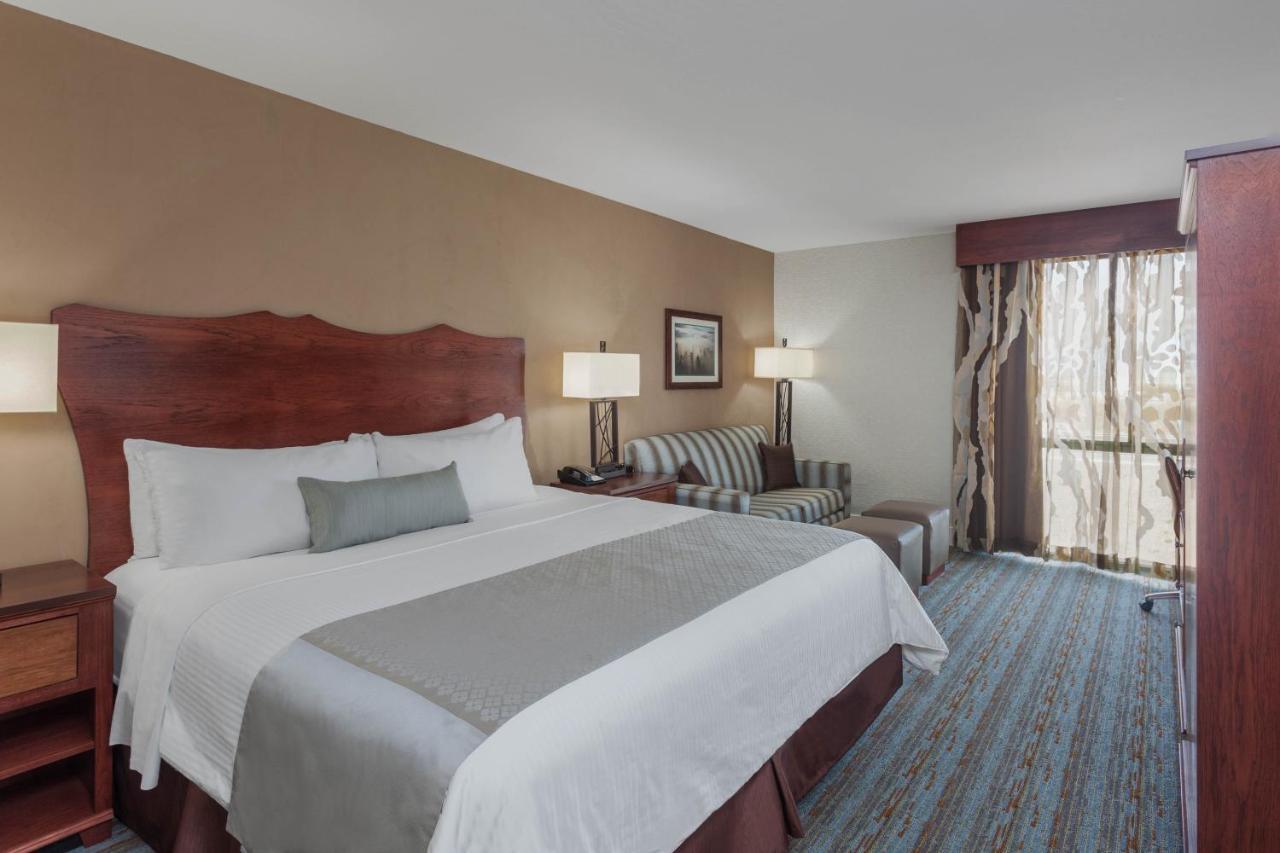 Executive Kamer met Kingsize Bed - Rookvrij