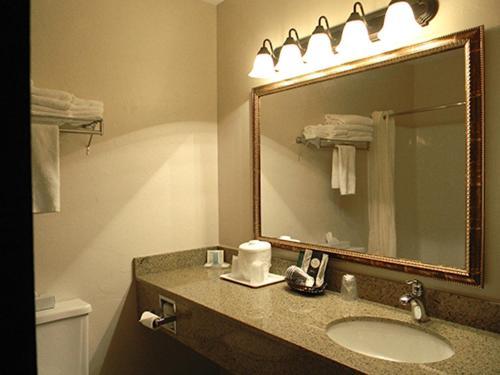 Double Room with Two Double Beds