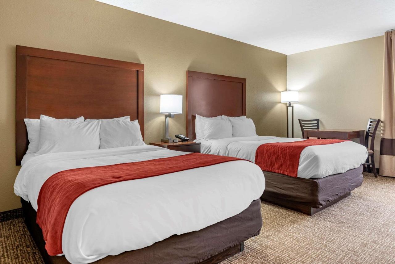 Double Room with Two Double Beds - Non-Smoking