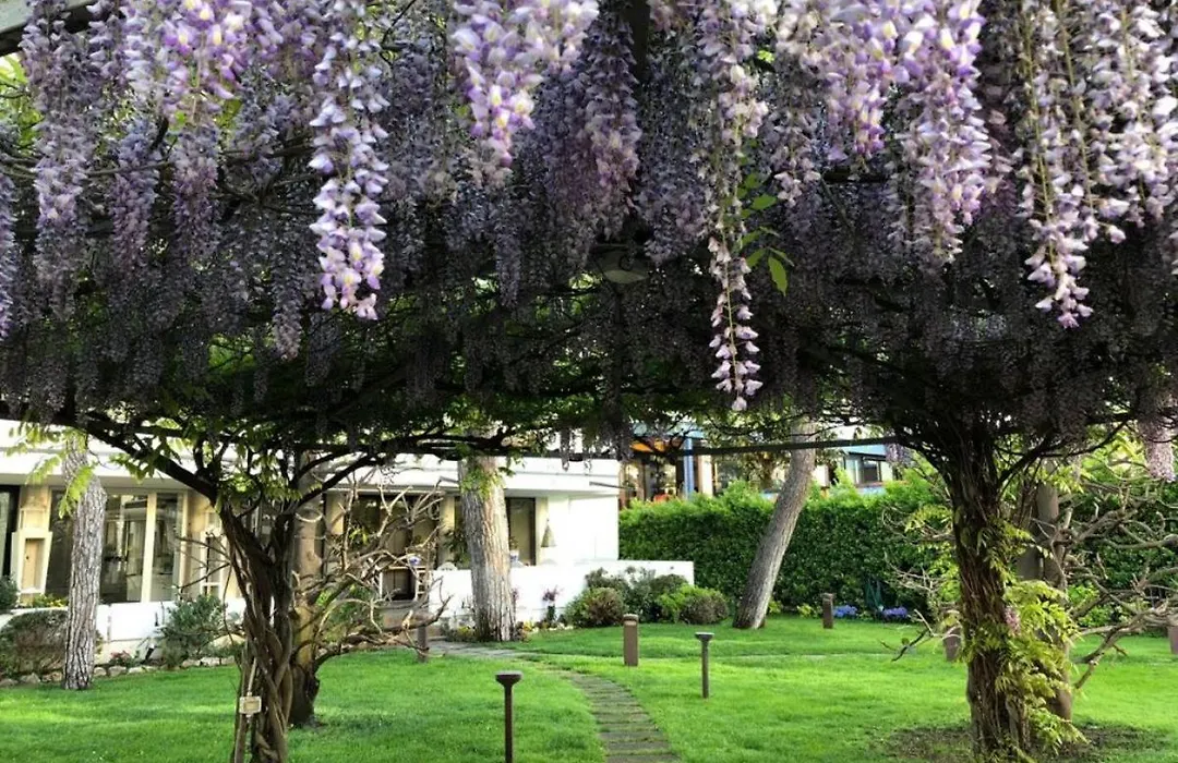 Hotel Bracciotti-1