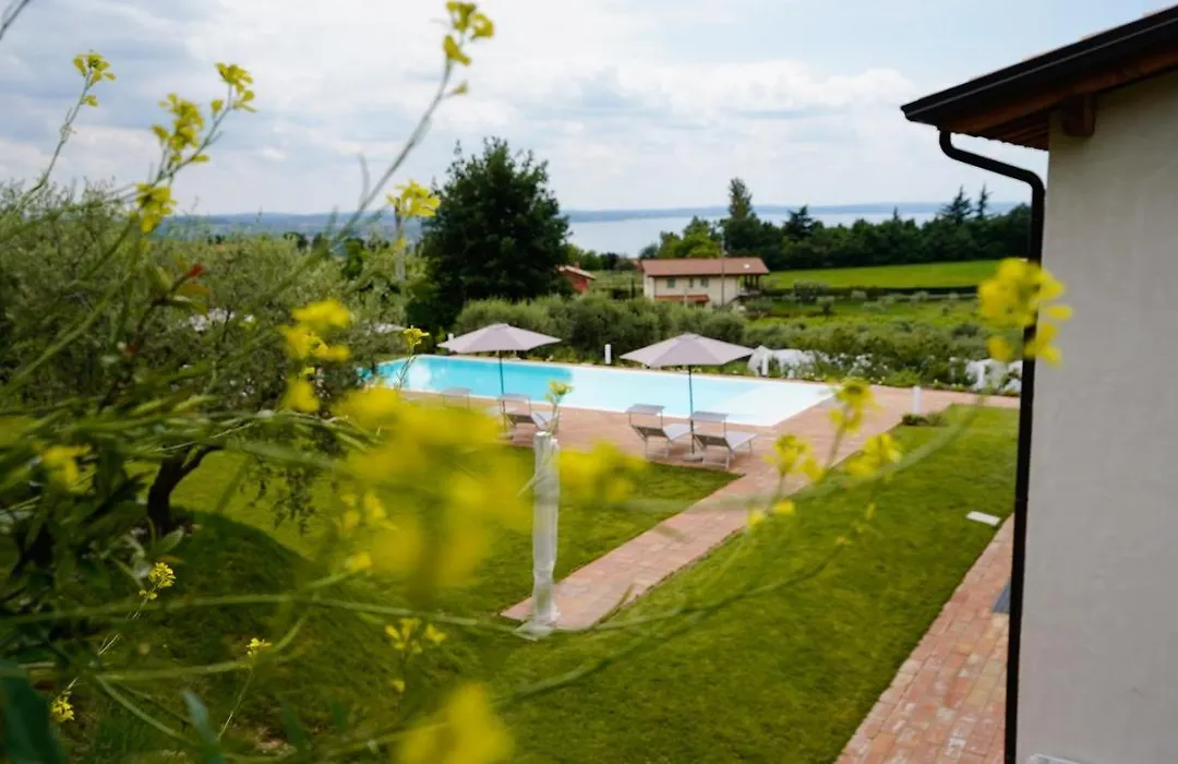 Casa Olivi Apartments-1