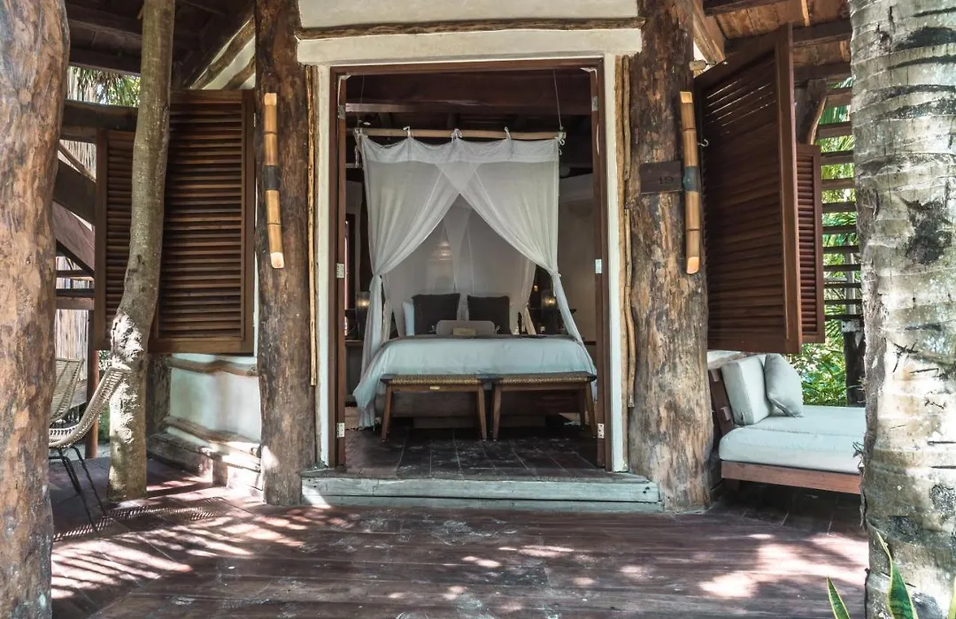 Delek Tulum-1