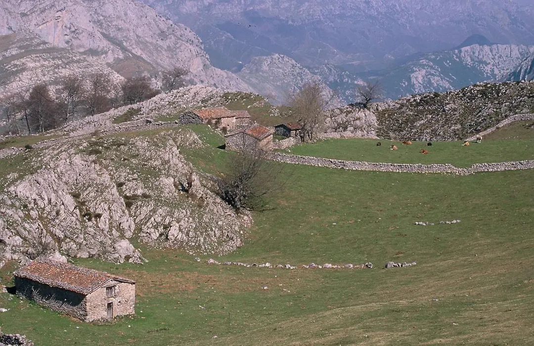 Hotel Picos de Europa-1