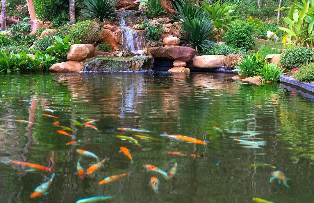 Avana Retreat-1