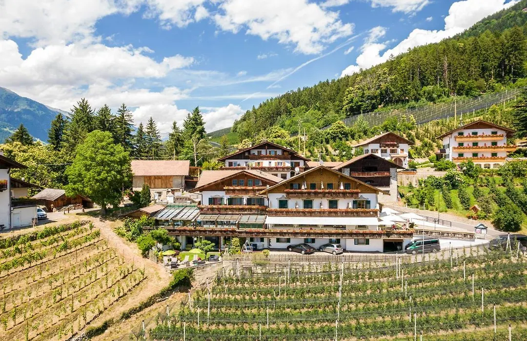 Hotel Moserhof-1