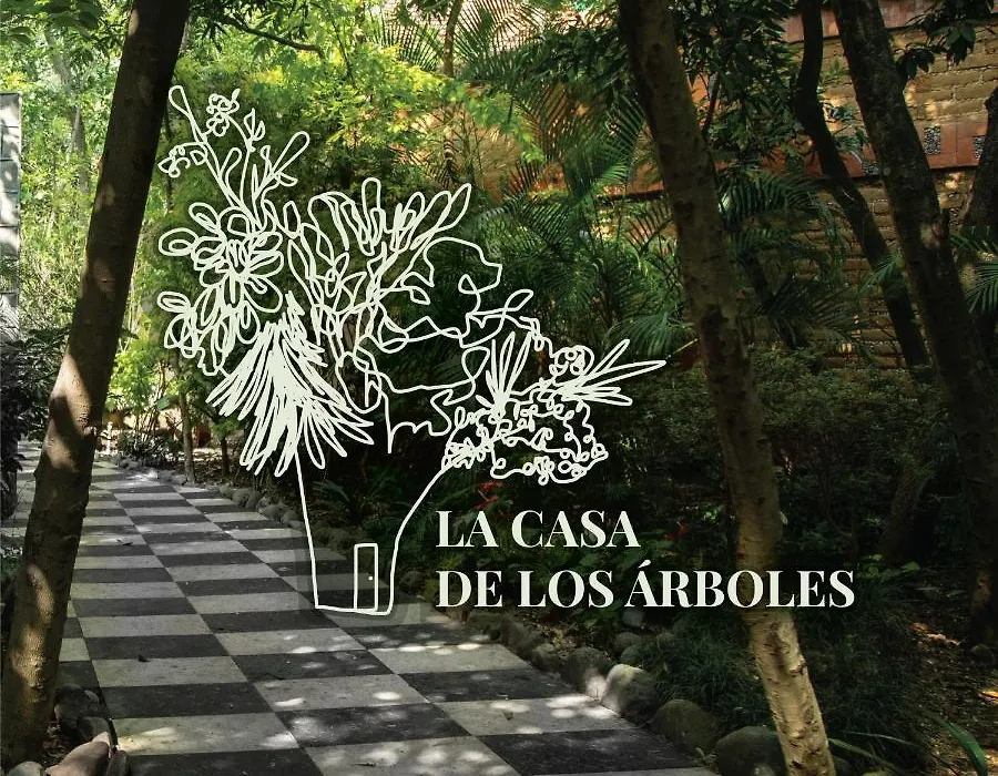Hotel La Casa de los Árboles Immersive Experience-1