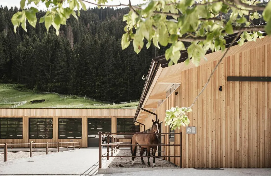 Feuerstein Nature Family Resort-1