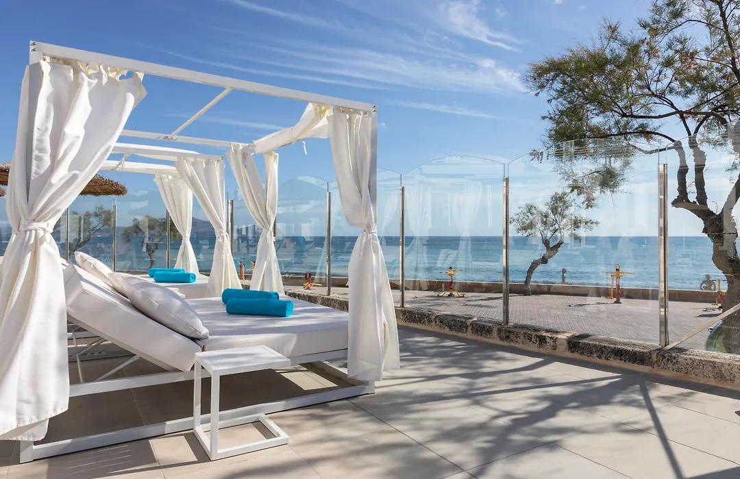 Globales Concord (Adults Only)-1