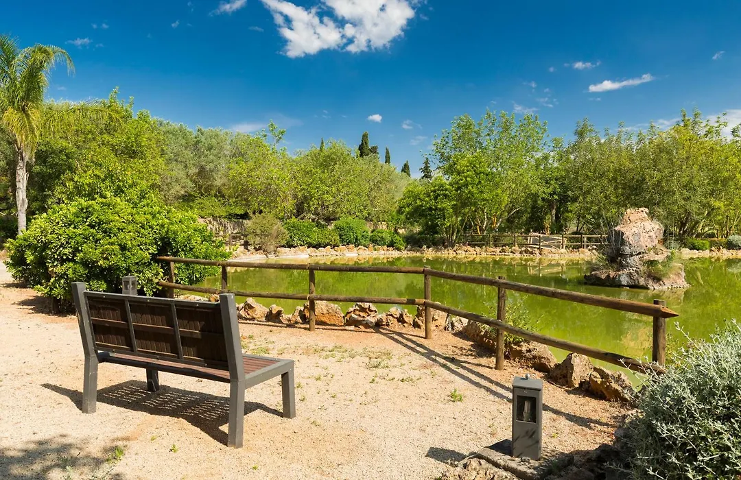 Agroturisme Sa Torre (Adults Only)-1