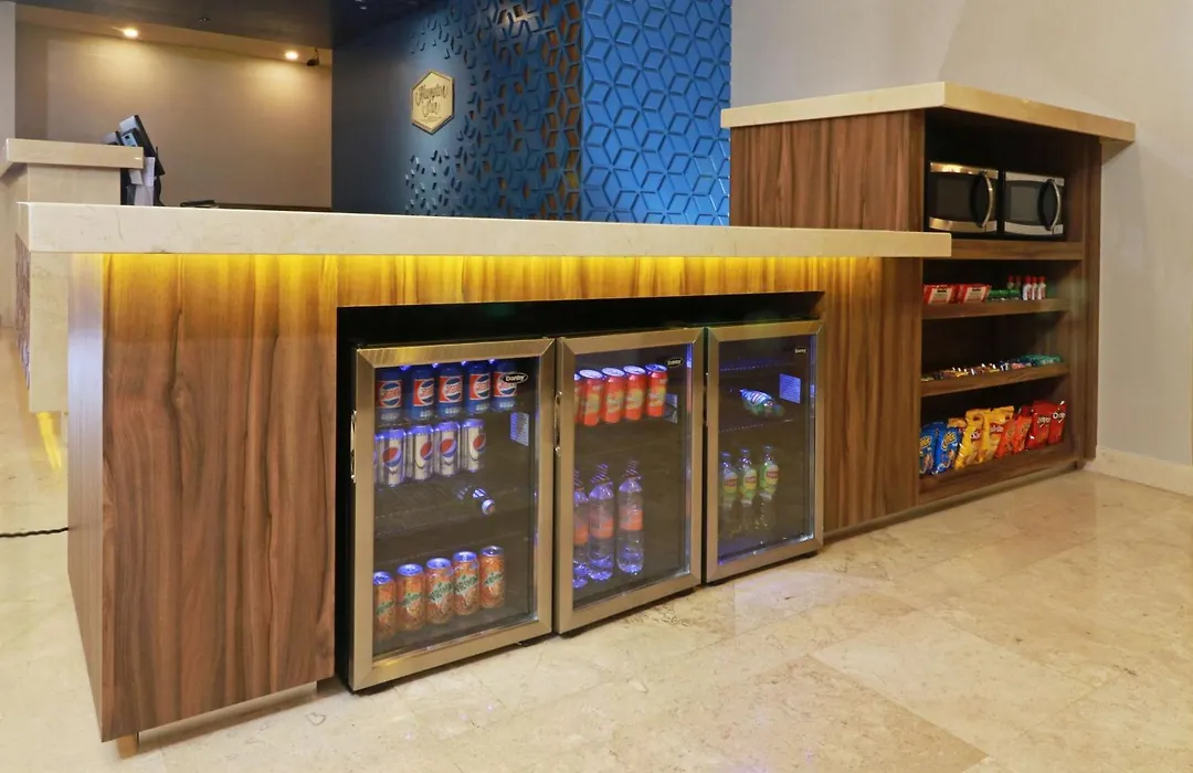 Hampton By Hilton Chihuahua-1