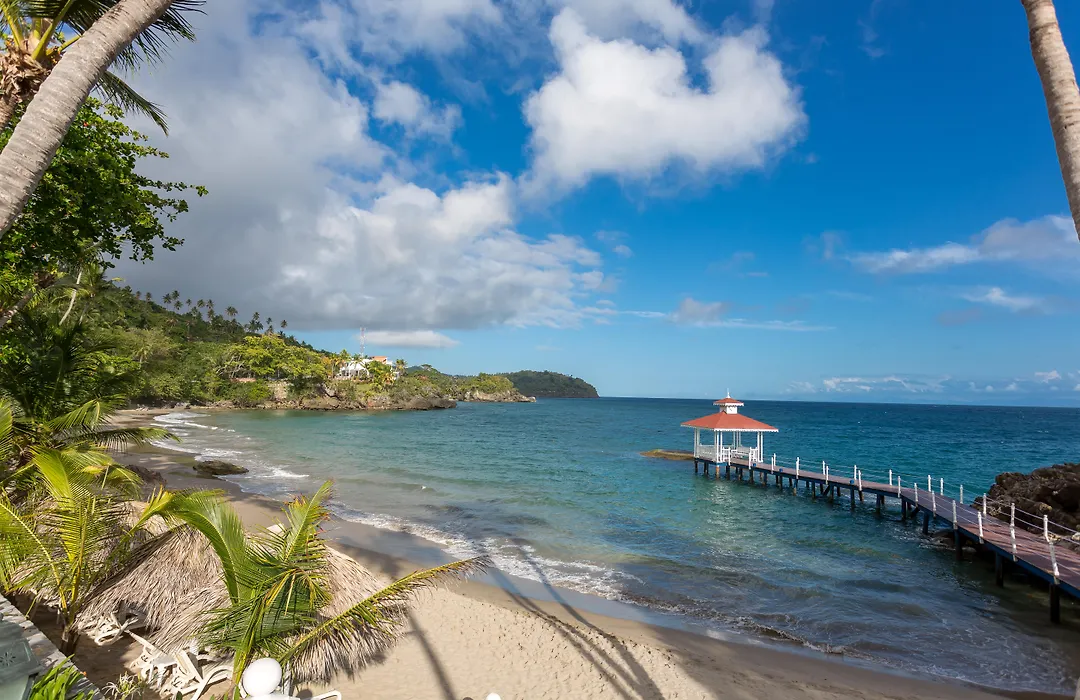 Bahia Principe Escape Samana - Hyatt Inclusive Collection - Adults Only-1