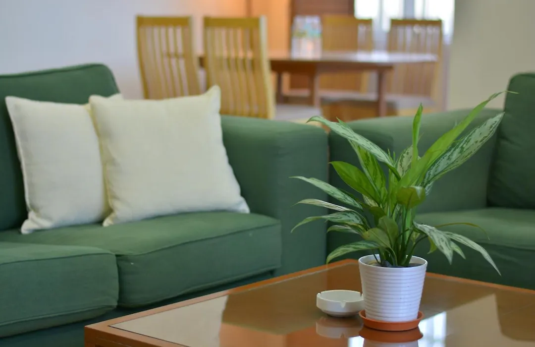 The Maple Suite-1