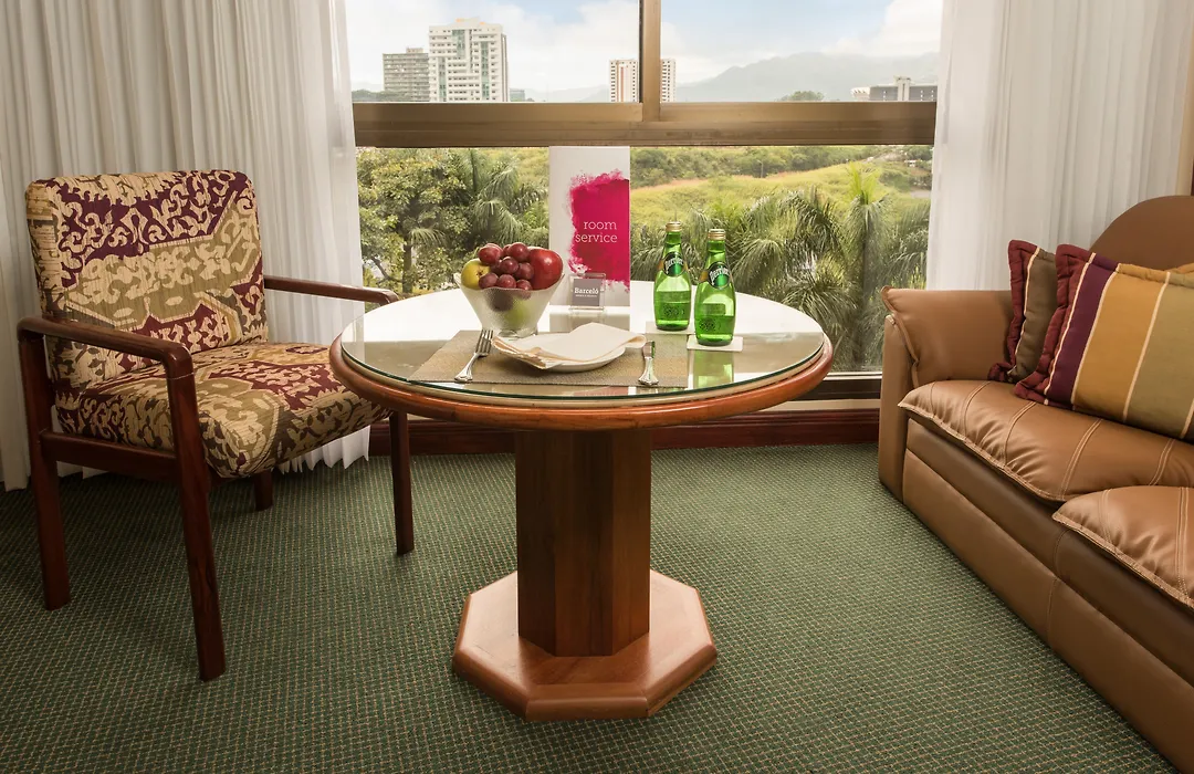 Barcelo San Jose-1