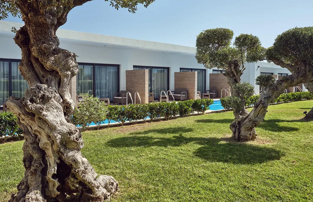 Cavo Orient Beach Hotel&Suites-1