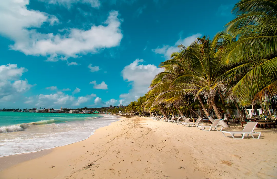 Hotel Arena Blanca by Dorado-1
