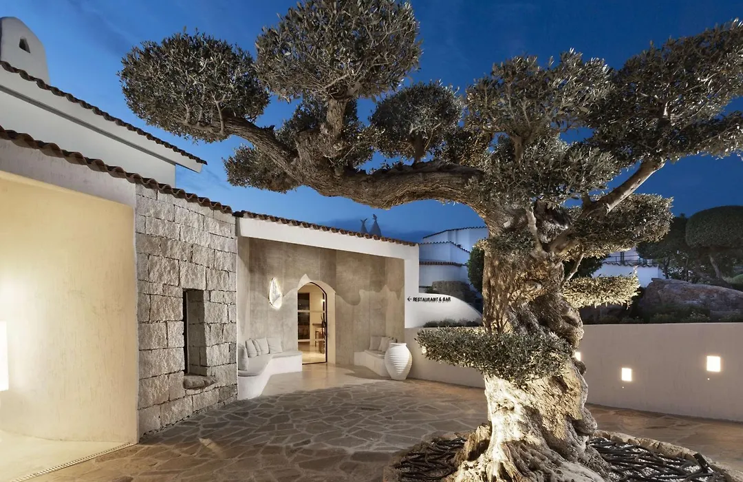 Sulia House Porto Rotondo, Curio Collection By Hilton-1