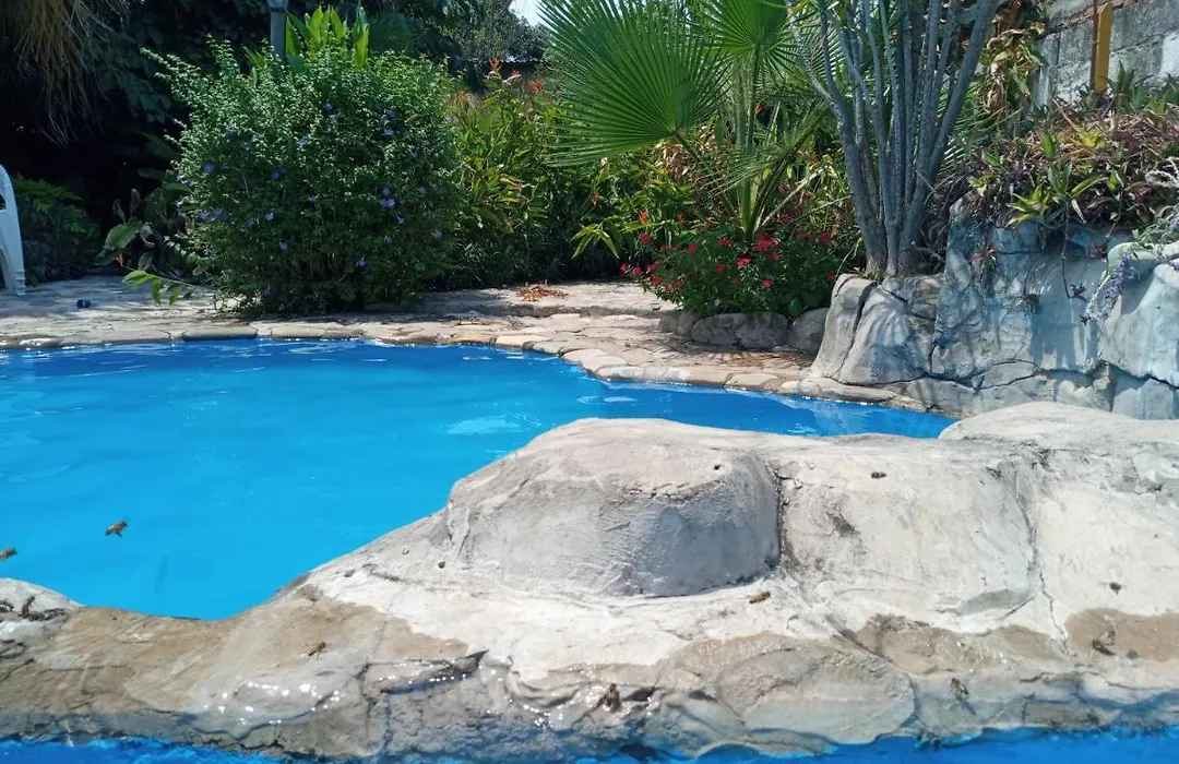 El Jardin Colonial-1