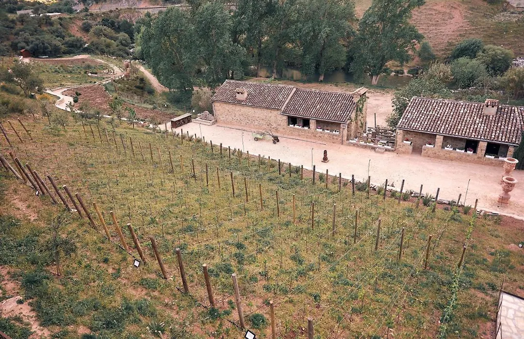 Eco Hotel Cueva Del Gato-1