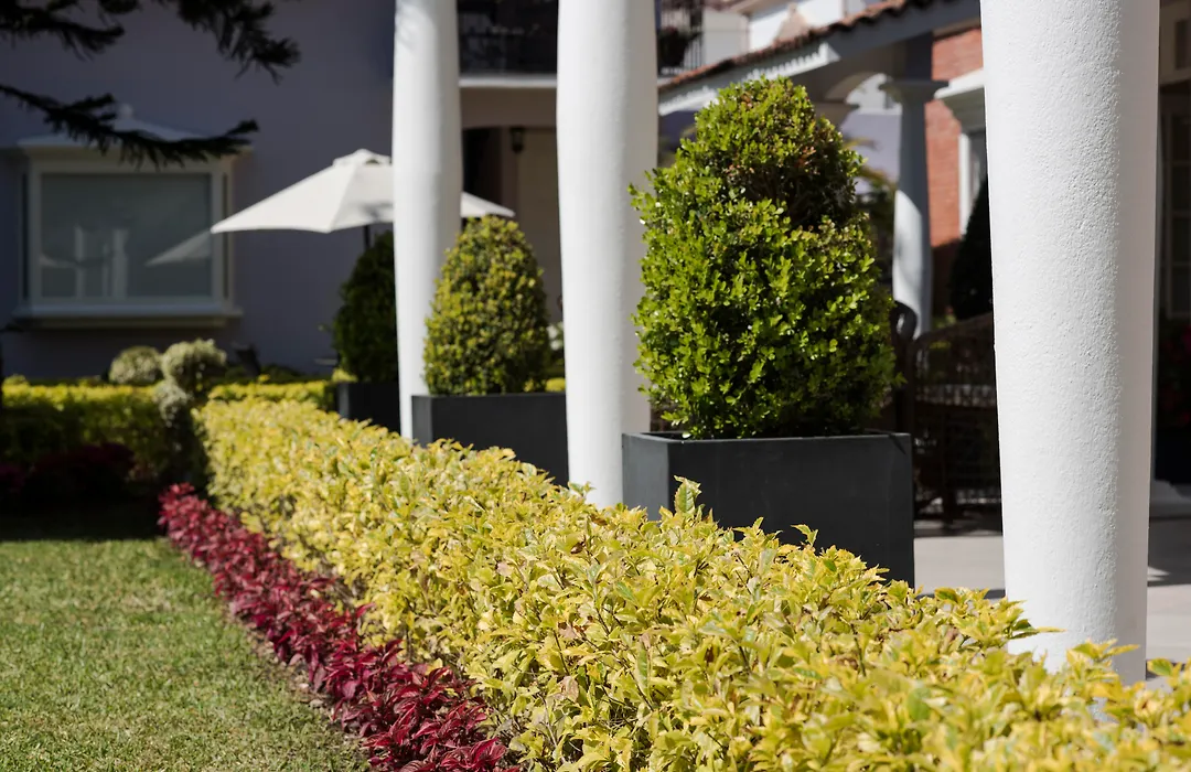 Casa Bonita Hotel&Luxury Residence-1