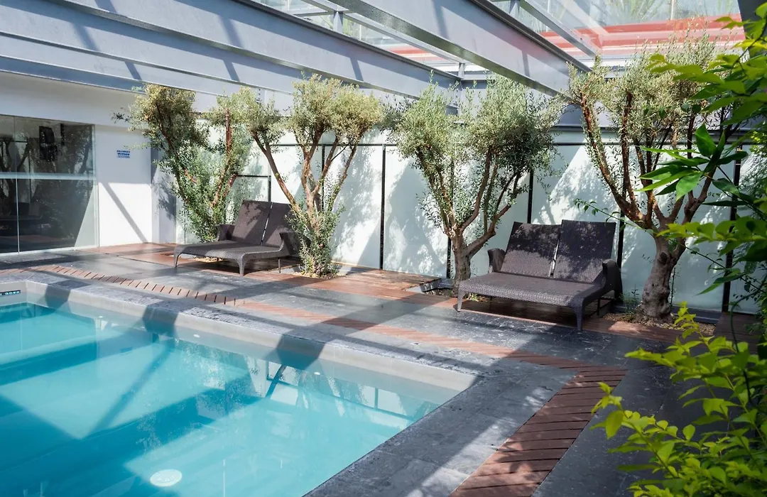 Holiday Inn Express Pachuca By Ihg-1