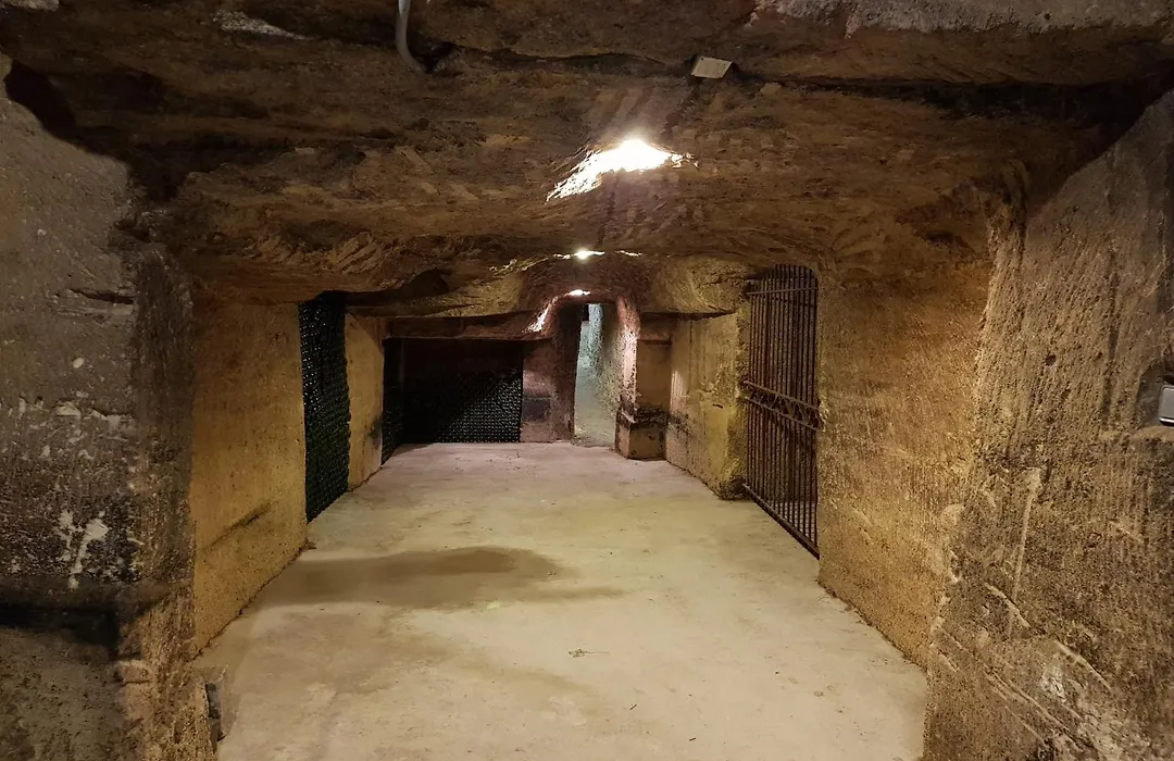 Château Fleur de Roques-1