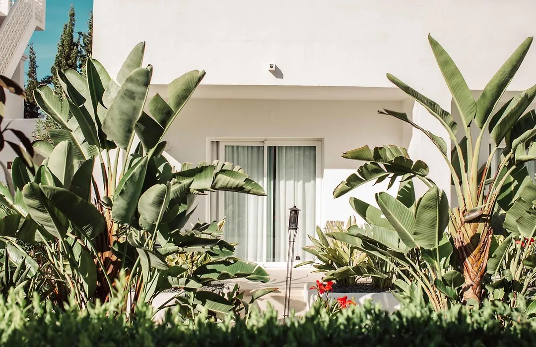 Hotel Boutique & Spa Las Mimosas Ibiza (Adults Only)-1