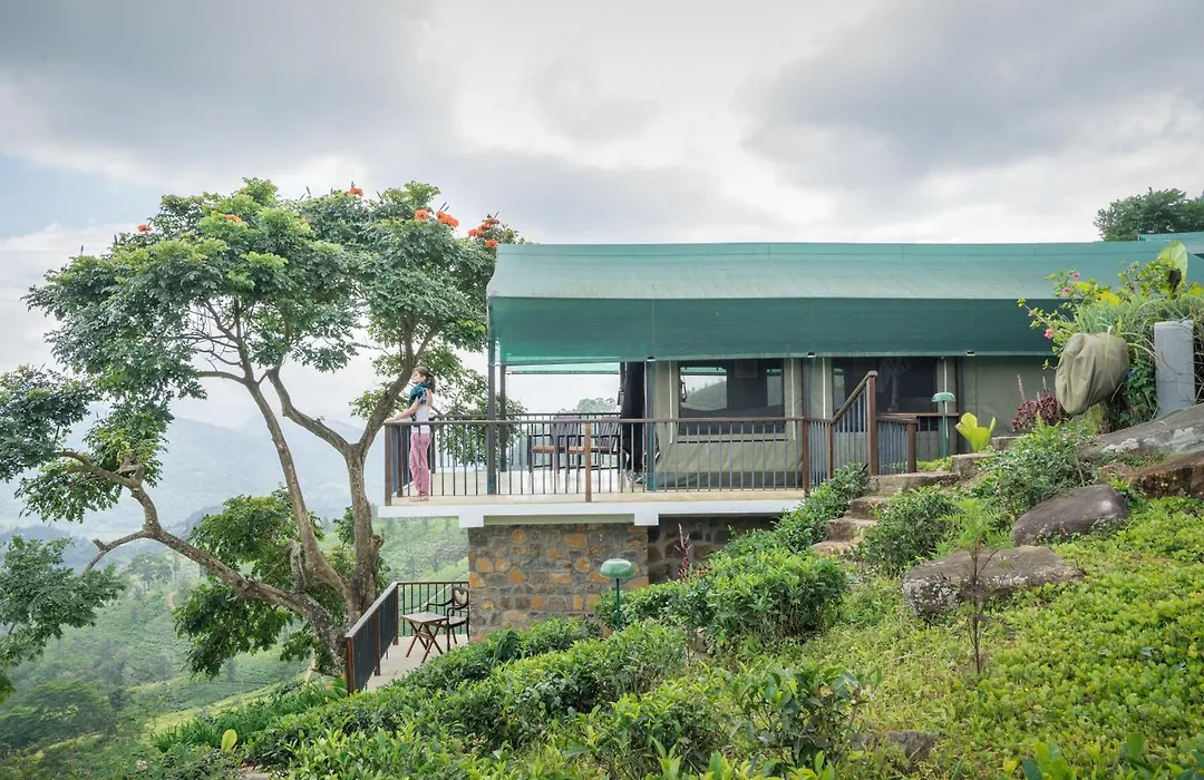 Madulkelle Tea And Eco Lodge-1