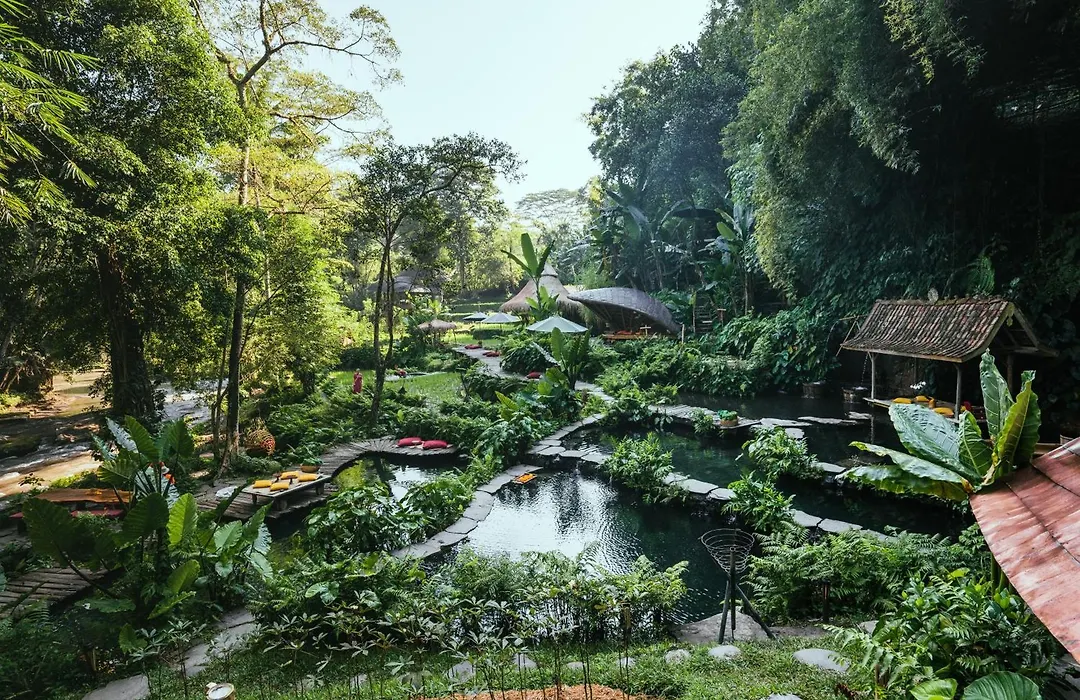 Bambu Indah Resort-1