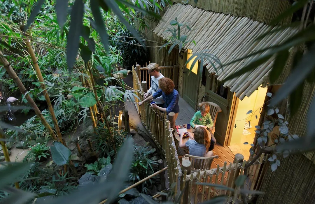 Hotel Het Heijderbos By Center Parcs-1